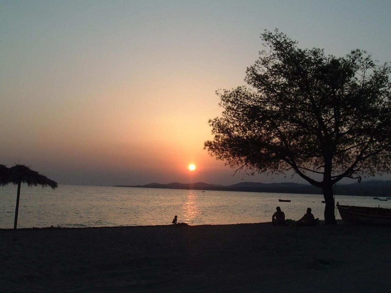 Finikas Garden Beach Resort Nikiti Kültér fotó