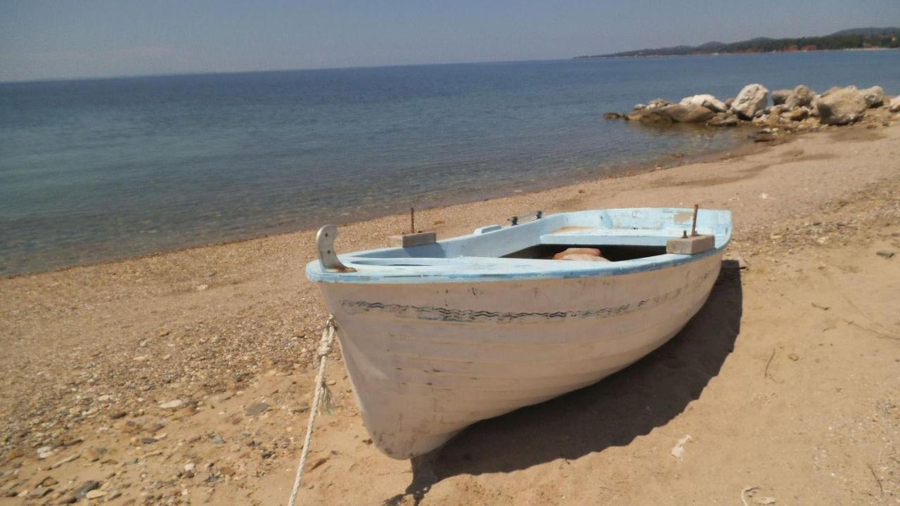 Finikas Garden Beach Resort Nikiti Kültér fotó