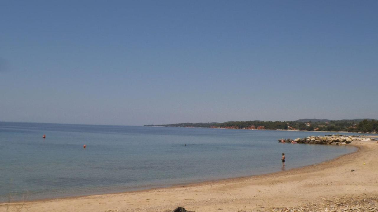 Finikas Garden Beach Resort Nikiti Kültér fotó