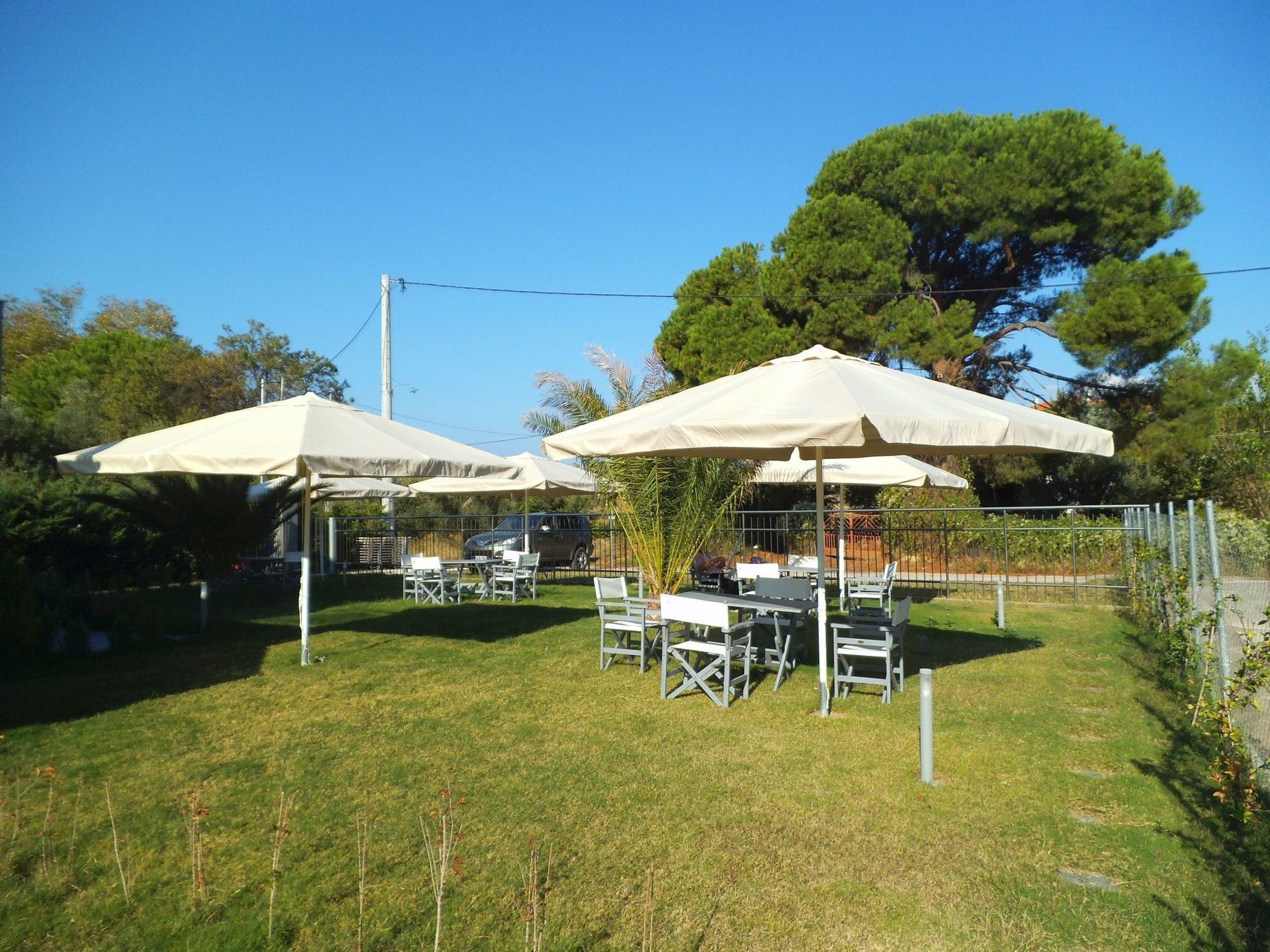 Finikas Garden Beach Resort Nikiti Kültér fotó